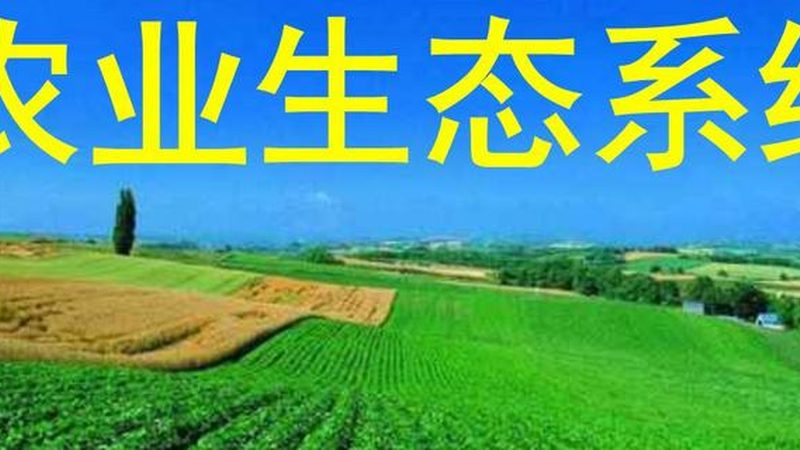 正规绿色食品批发市场推荐