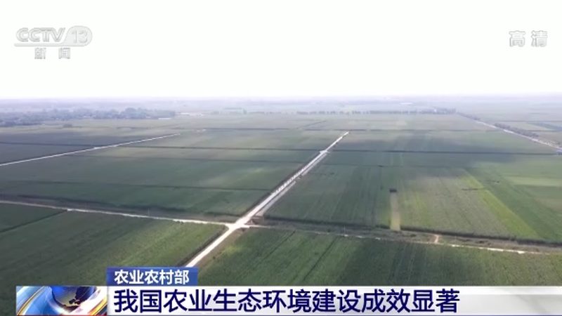 粮食种子批发流程：从源头把控品质，保障丰收
