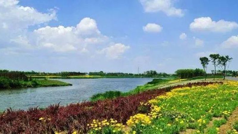 休闲观光农业产业园：盈利模式的多维解析