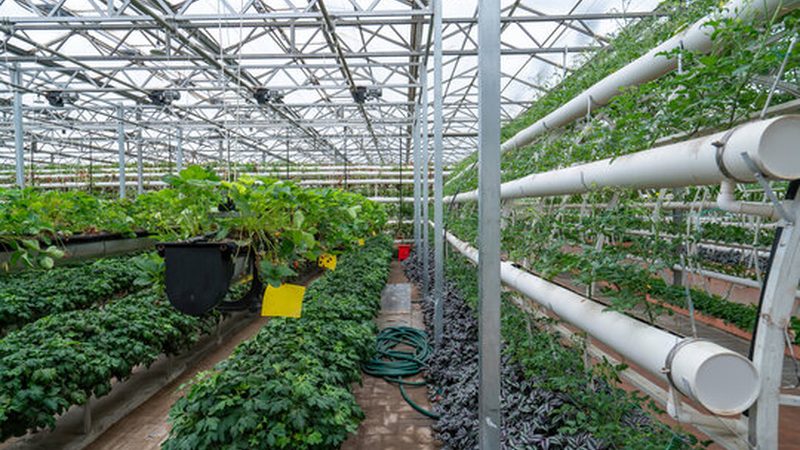 果蔬配送价格表模板