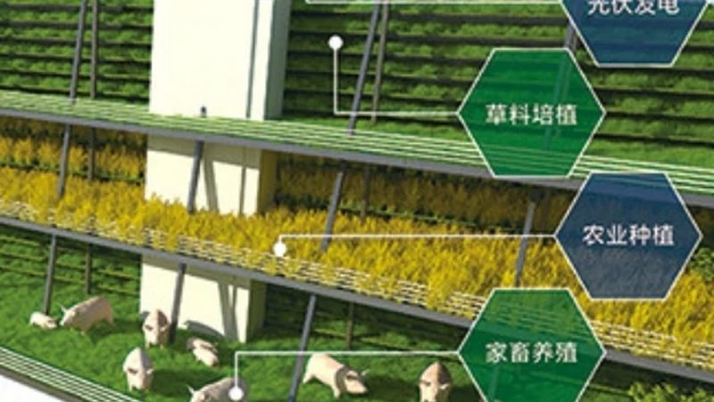 农资肥料真假辨别书籍推荐