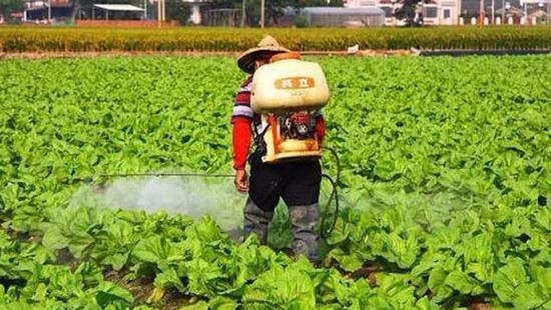 休闲农业，如何打造成功项目？**